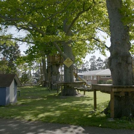 Te Aroha Holiday Park And Motels Екстер'єр фото