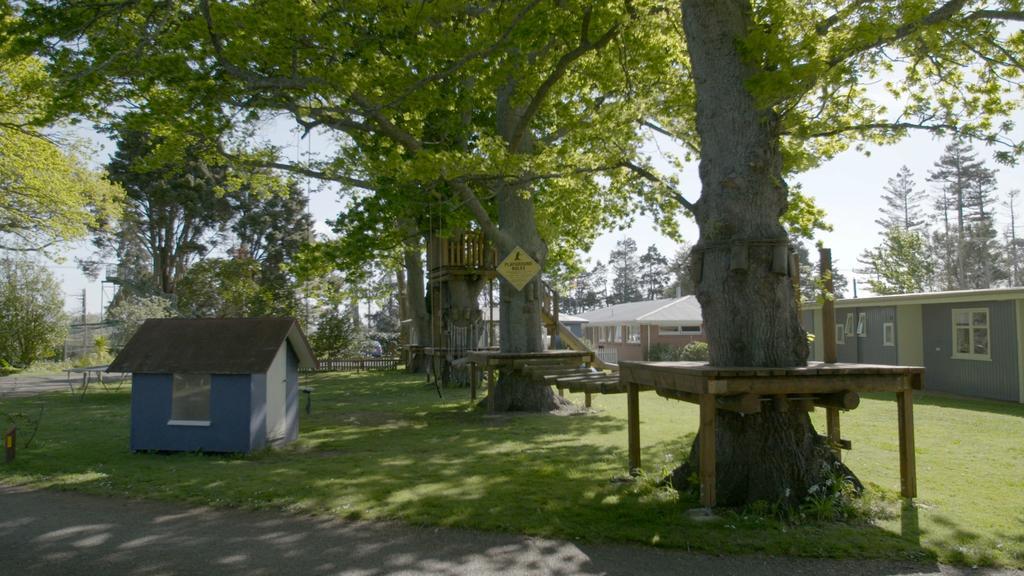 Te Aroha Holiday Park And Motels Екстер'єр фото