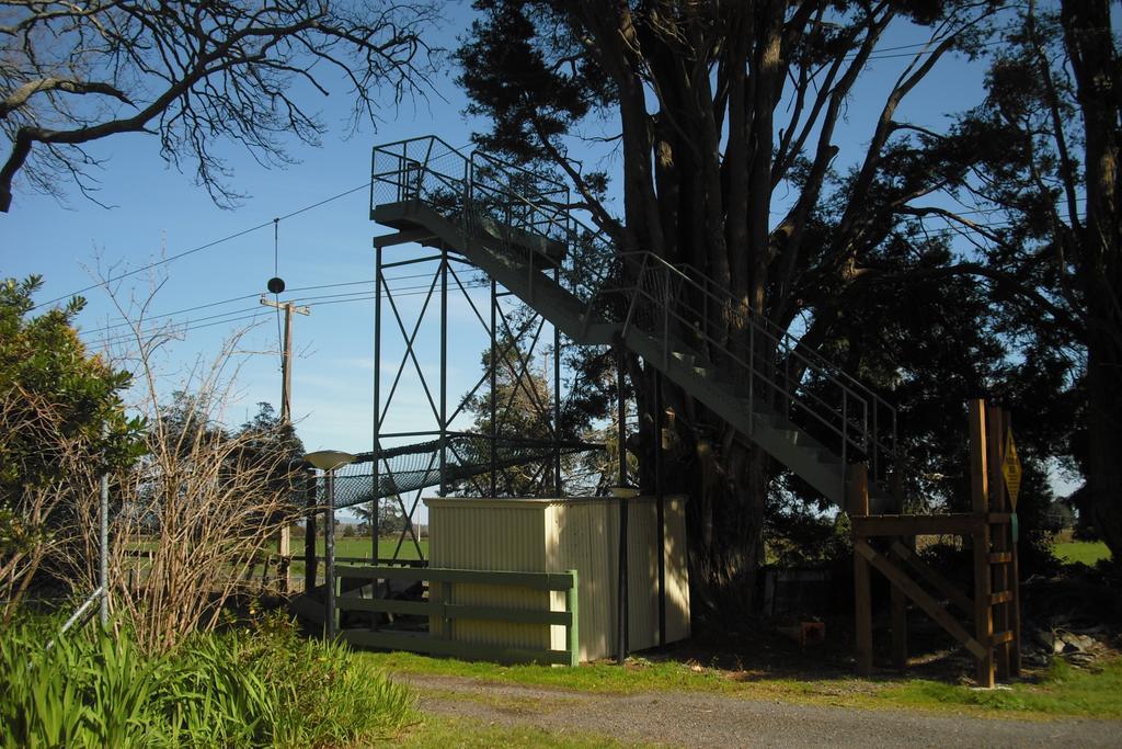 Te Aroha Holiday Park And Motels Екстер'єр фото